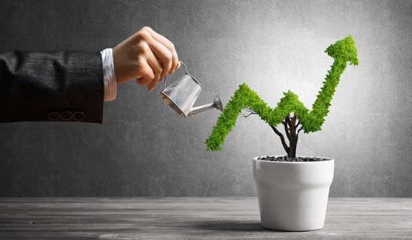 Featured Image of Birla Punya Investment